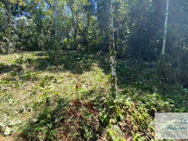 Área para Venda em Ubatuba - 3
