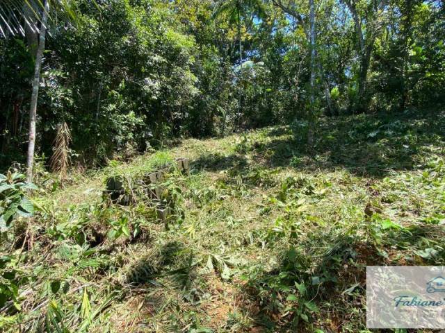 Área para Venda em Ubatuba - 4
