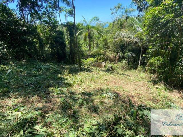 Área para Venda em Ubatuba - 5