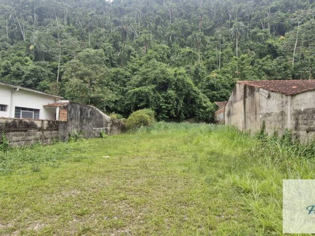 #139 - Terreno para Venda em Ubatuba - SP - 2