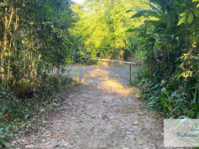 #149 - Área para Venda em Ubatuba - SP - 3
