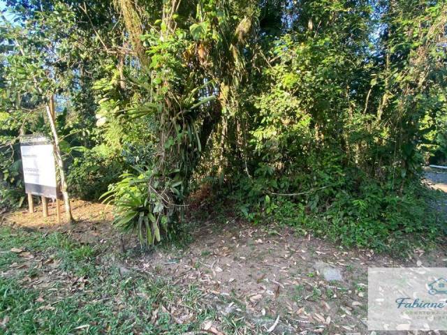 Área para Venda em Ubatuba - 5