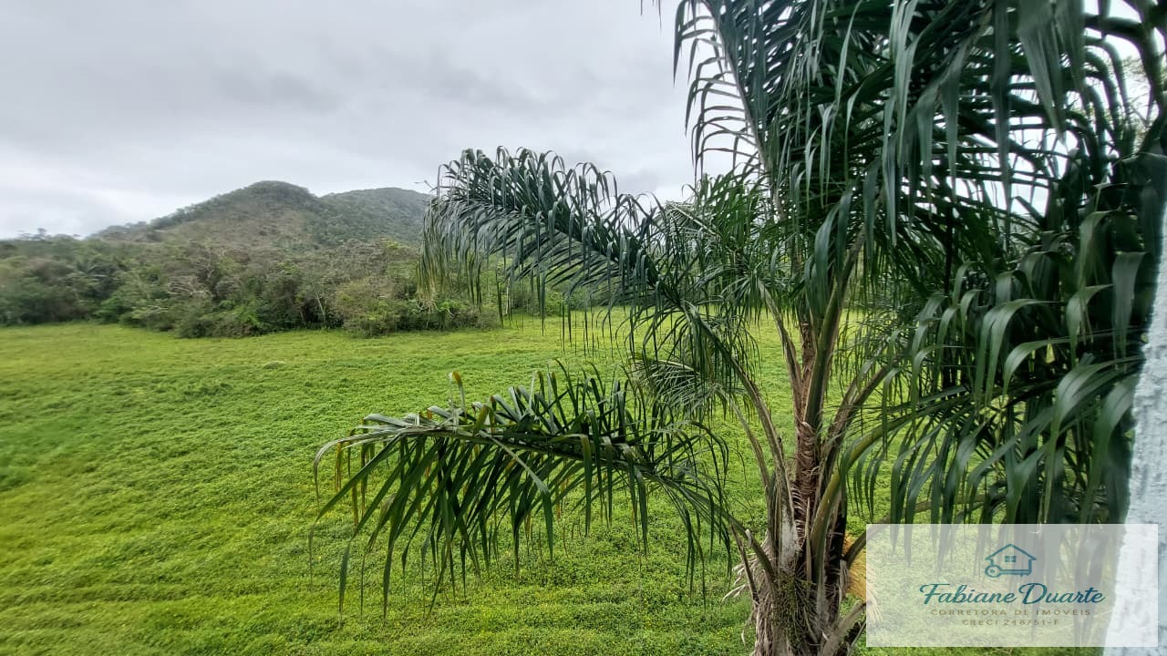 Apartamento, 2 quartos, 55 m² - Foto 10