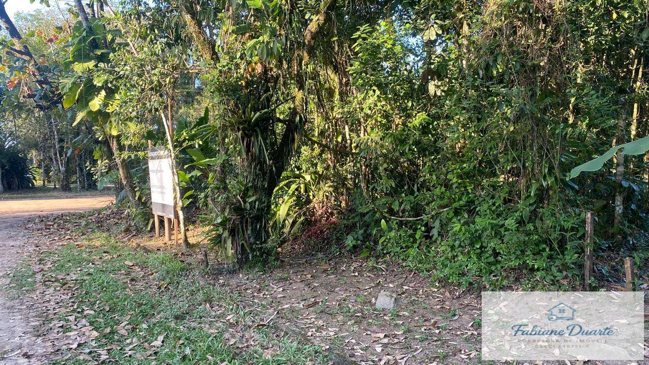 Terreno, 540 m² - Foto 6