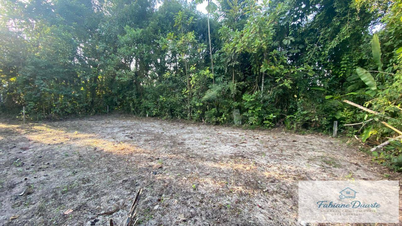 Terreno, 540 m² - Foto 7